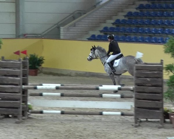 Reitturnier Prussendorf 2019
