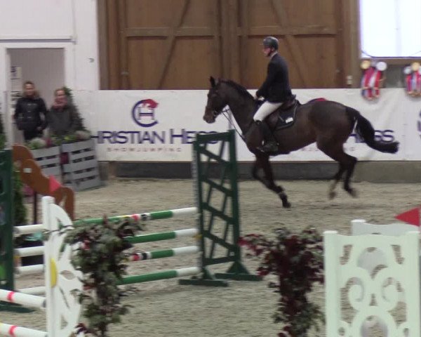 Nordic Jumping events 2019