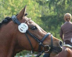 dressage horse Nomitas (German Riding Pony, 2008, from Nuts)