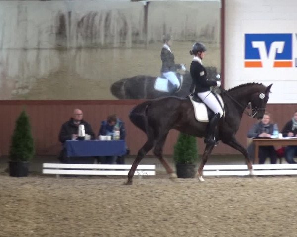 Reitturnier Lembeck 2019