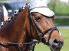 dressage horse Kanbika (New Forest Pony, 1991, from Vernons Vineyard)