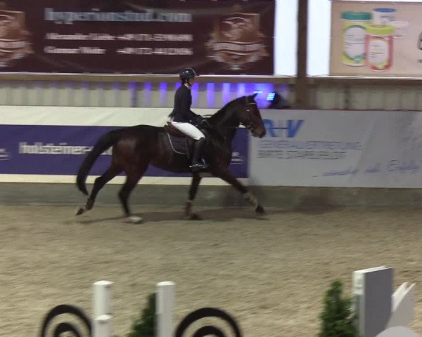 Nordic Jumping events 2019