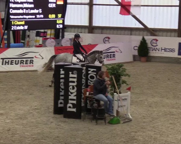 Nordic Jumping events 2019