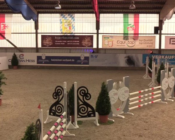 Nordic Jumping events 2019