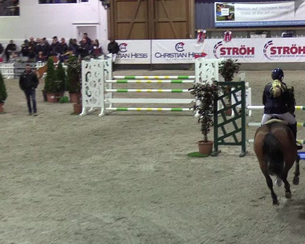 Nordic Jumping events 2019