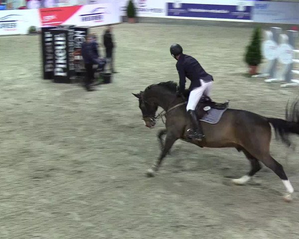 Nordic Jumping events 2019