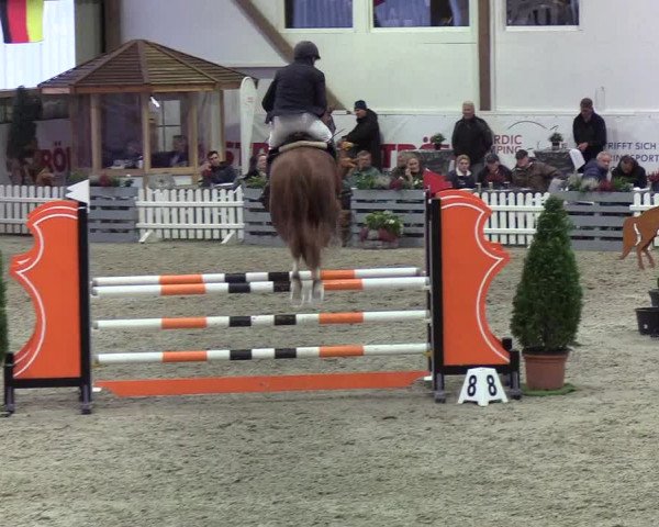 Nordic Jumping events 2019