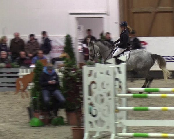 Nordic Jumping events 2019