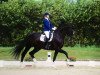 dressage horse Rolex 112 (Hanoverian, 2006, from Rotspon)