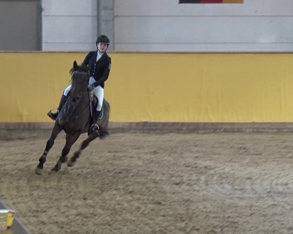 Reitturnier Prussendorf 2019
