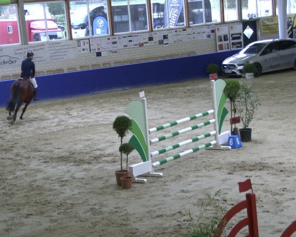 Reitturnier Isterberg 2019