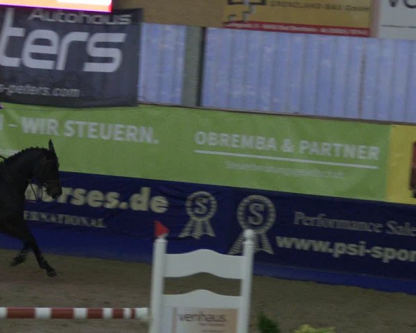 Reitturnier Isterberg 2019