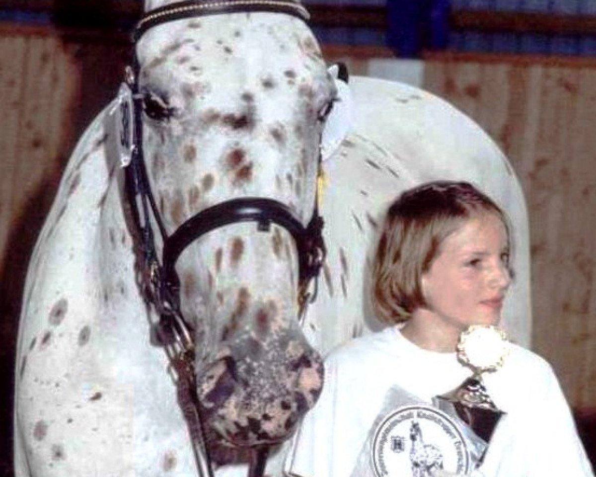 broodmare Merle (Knabstrupper, 1986, from Rasmus af Damgård)