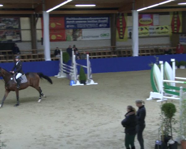 Reitturnier Isterberg 2019