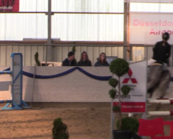 Reitturnier Rhede-Krommert 2019