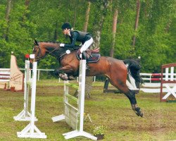 jumper Camina 19 (Hanoverian, 2006, from Cranach)