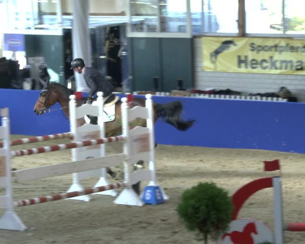 Reitturnier Isterberg 2019