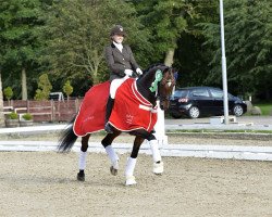 Dressurpferd Goerklintgaards Quantico (Dänisches Warmblut, 2009, von Quaterback)