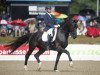 dressage horse Jar of Ballmore (Belgian Warmblood, 2009, from Gribaldi)