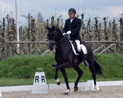 horse Broere Esperance (KWPN (Royal Dutch Sporthorse), 2009, from Ufo)