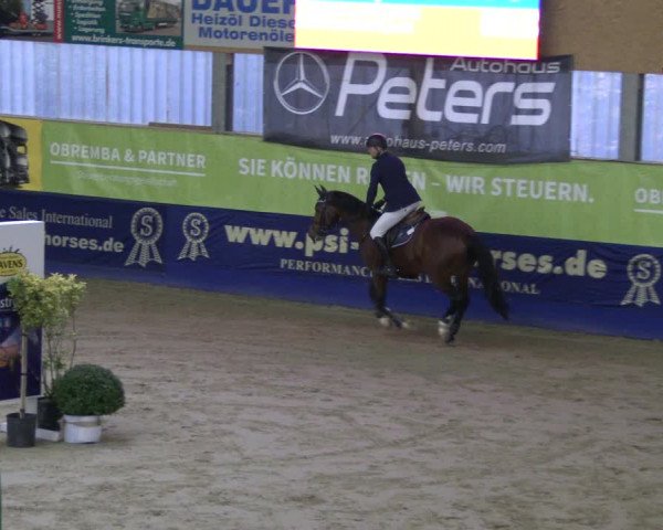 Reitturnier Isterberg 2019