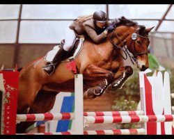 jumper Maurice 119 (Trakehner, 2000, from Abisko)