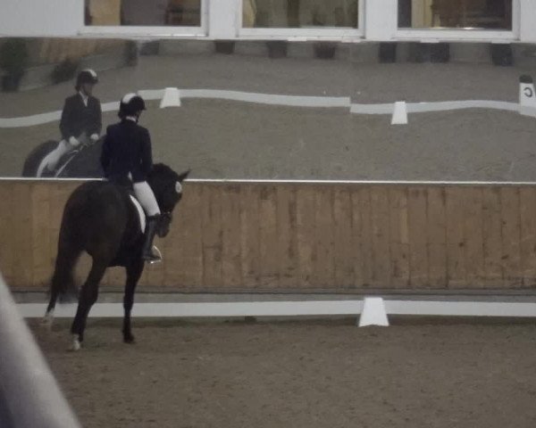 Reitturnier Freudenberg 2019