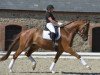 dressage horse Kut 'n' Move (Danish Warmblood, 2011, from Imperio 3)