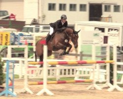 broodmare Zoey 12 (Oldenburg, 2011, from Quality 9)