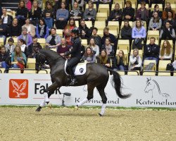 dressage horse Heiline's Danciera (Danish Warmblood, 2011, from Fürstenball)