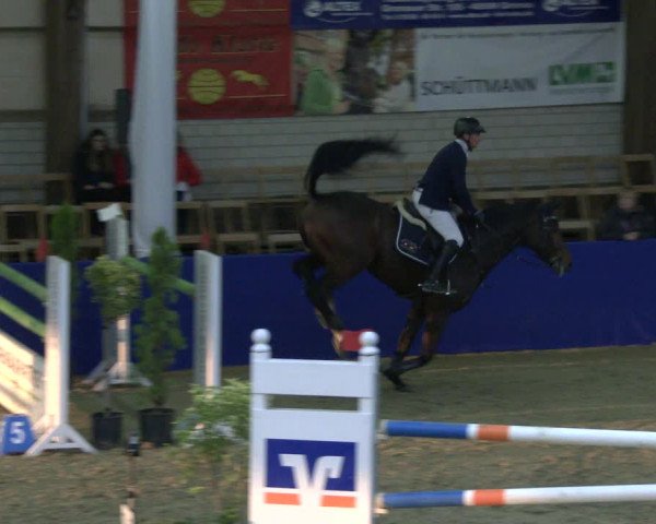 Reitturnier Isterberg 2019