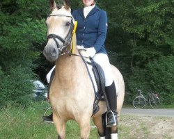 dressage horse Gill 19 (German Riding Pony, 2008, from Bazooka)