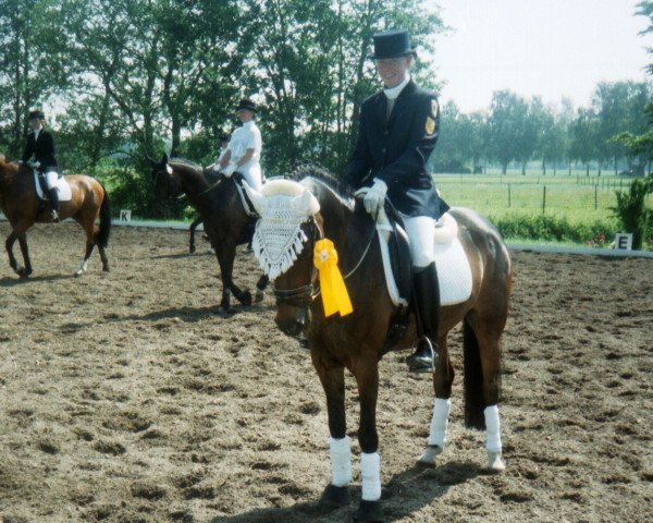 Zuchtstute Waikiki 148 (Deutsches Reitpony, 1995, von Wester Aikema's Nicodim)