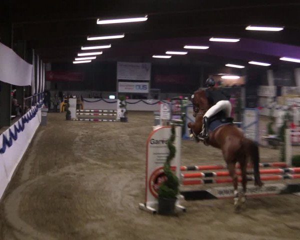 Reitturnier Rhede-Krommert 2019