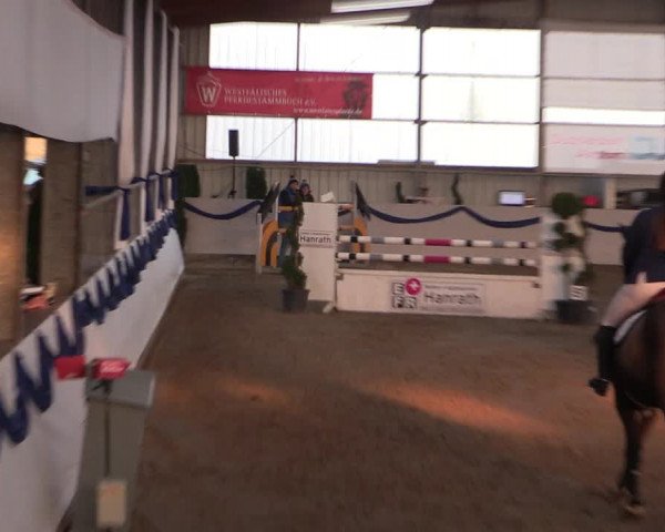 Reitturnier Rhede-Krommert 2019