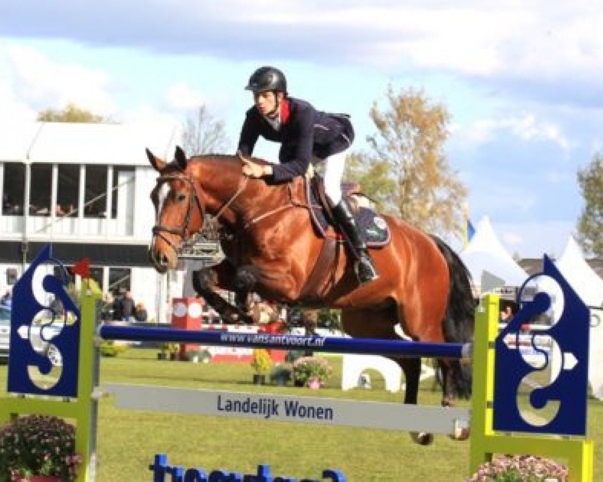 jumper Bon Giorno Go (KWPN (Royal Dutch Sporthorse), 2006, from Tygo)