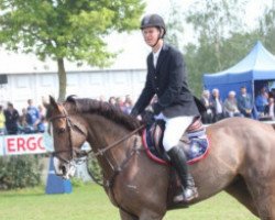 broodmare Farfelu de La Pomme (Belgian Warmblood, 2005, from Vigo d'Arsouilles)