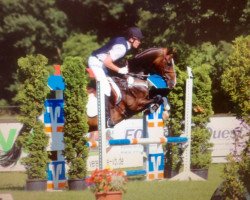 dressage horse Ron 51 (Oldenburg, 2003, from Roh Magic)