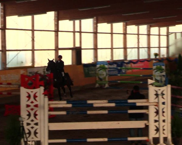Reitturnier Pausin 2019