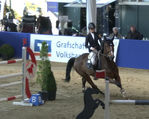 Reitturnier Isterberg 2019