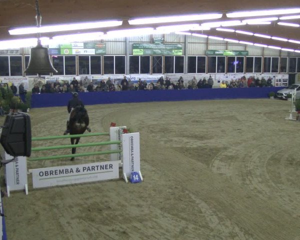 Reitturnier Isterberg 2019