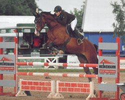 jumper Fortunas Girl M (Hanoverian, 2007, from For Keeps)