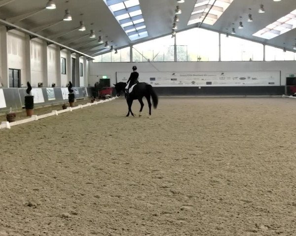 Reitturnier Mönchengladbach-Abtshof 2019