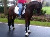 dressage horse Natureboy (German Riding Pony, 2006, from Topnatrejo)