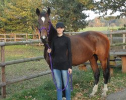 dressage horse Lina (Hannoveraner, 1994, from Westerland)