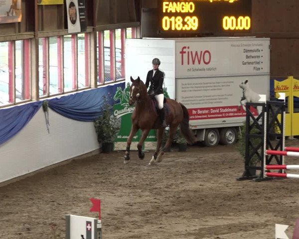 Reitturnier Sulgen 2019