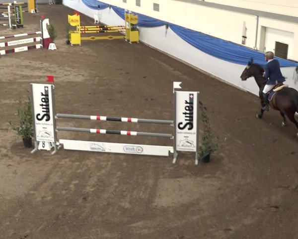 Reitturnier Sulgen 2019
