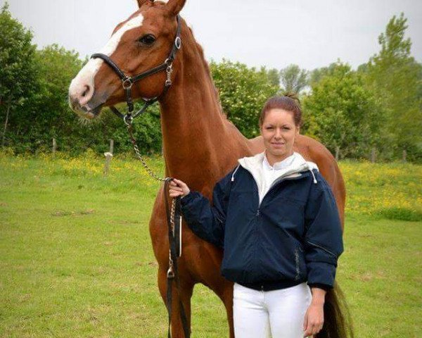 dressage horse Fabienne Jolie (Hanoverian, 2002, from Fürst Heinrich)