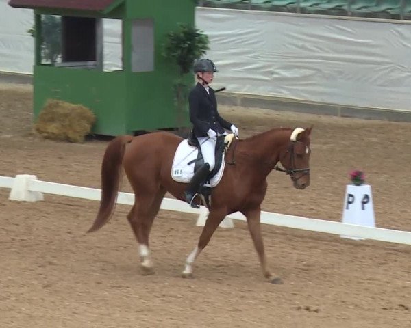 Reitturnier Kreuth/Opf. 2019
