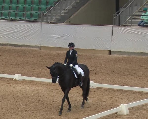 Reitturnier Kreuth/Opf. 2019